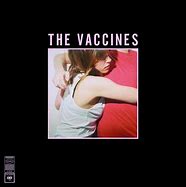 Image result for the vaccines